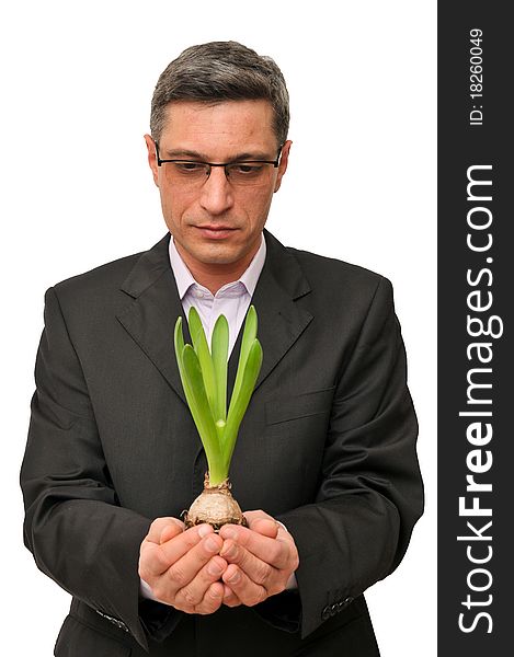 Isolated businessman looking protective over small plant. Isolated businessman looking protective over small plant