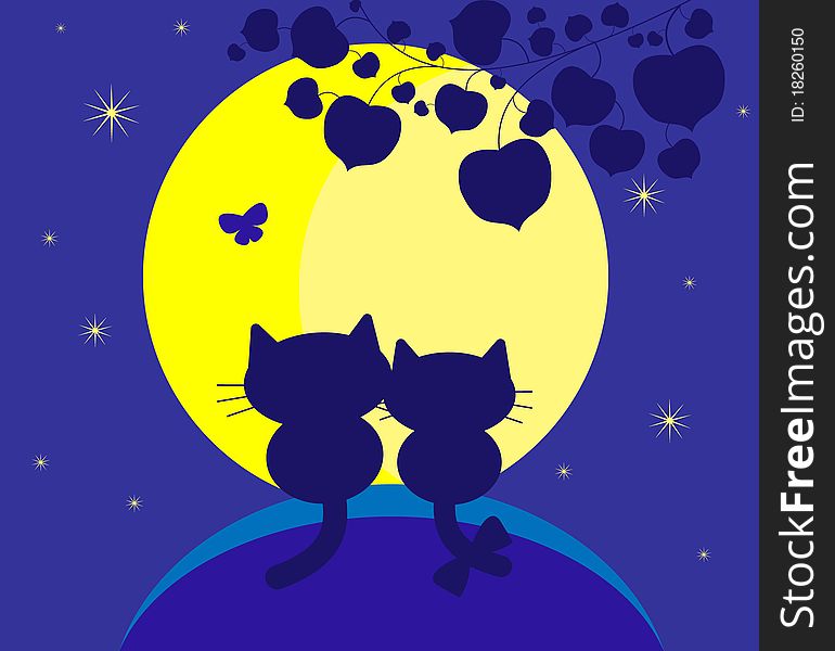 Two cats look at the moon at night. Two cats look at the moon at night