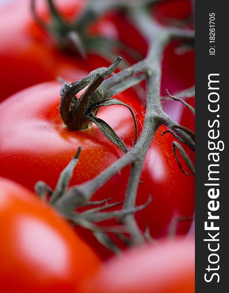 Vertical picture of fresh tomatoes with a vibrant red color. Vertical picture of fresh tomatoes with a vibrant red color.