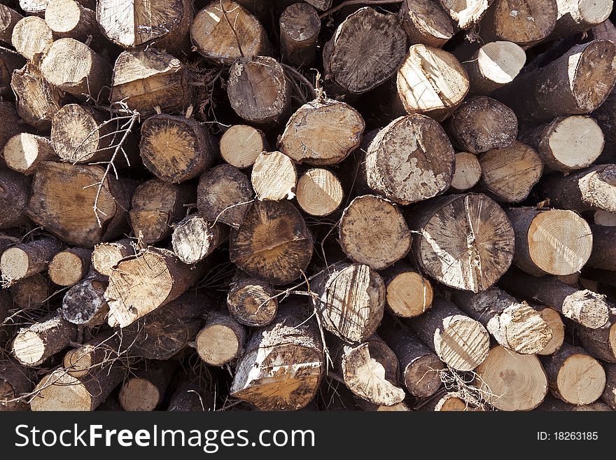 Stack of wooden logs awaiting the sawmill. Stack of wooden logs awaiting the sawmill