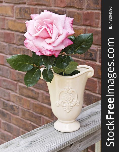 A beautiful large pink rose with water droplets in a vase with brick background, shallow depth of field with copy space. A beautiful large pink rose with water droplets in a vase with brick background, shallow depth of field with copy space