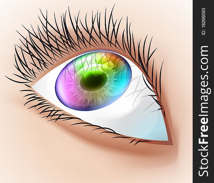 Multicolor human eye with eyelash illustration. Multicolor human eye with eyelash illustration.