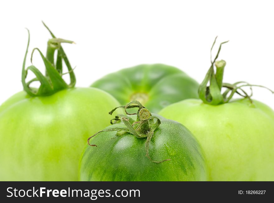 Green tomatoes on a white background