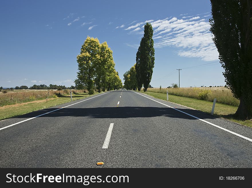 The road ahead, straight and tree lined. The kings Highway, Australia. The road ahead, straight and tree lined. The kings Highway, Australia.