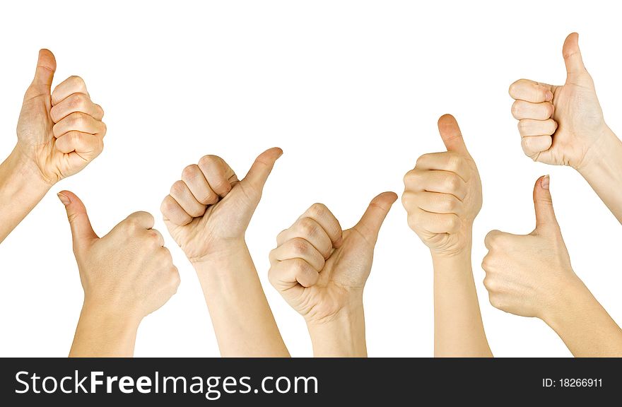 Many woman's hand lifted up on white background. Many woman's hand lifted up on white background