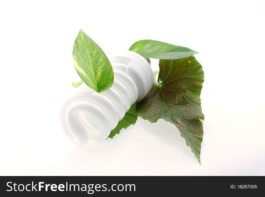 Energy-saving lamp with green leaves on white background close up
