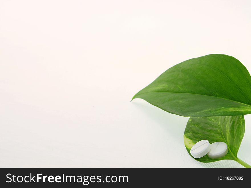 Two tablets with green leaves on white background close up