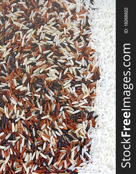 Thai Red Jasmine and Fragment magenta Organic rice dominate on White Jasmine rice, Background texture surface pattern. Thai Red Jasmine and Fragment magenta Organic rice dominate on White Jasmine rice, Background texture surface pattern