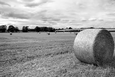 Hay Bail Stock Images Hay Bail Stock Images
