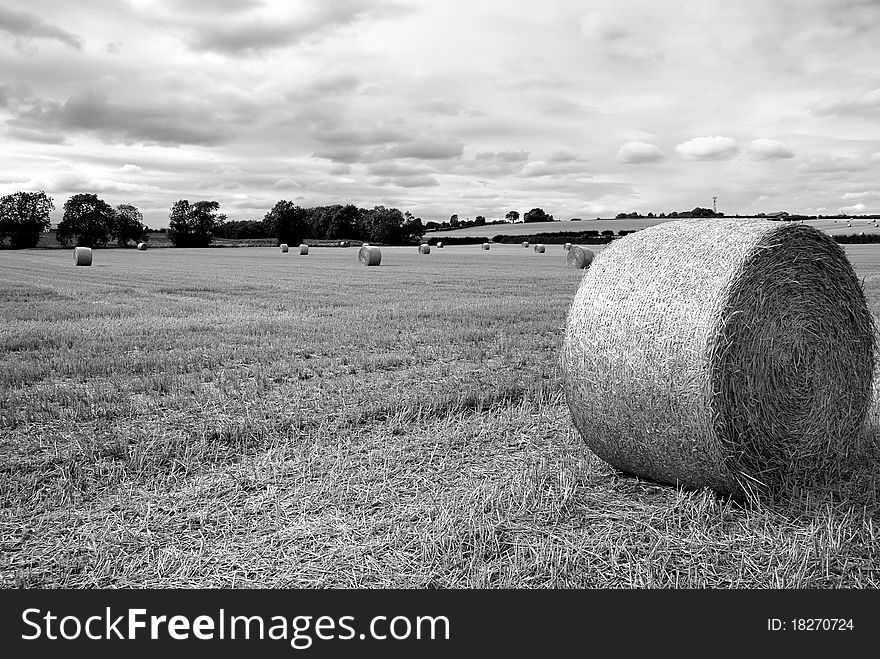 A large round hay bail recently harvest in a field. Showing a slightly stormy sky in the distance and other bails.