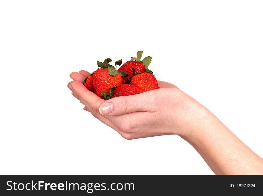Studio photo of isolated woman hand with fresh strawberries. Studio photo of isolated woman hand with fresh strawberries