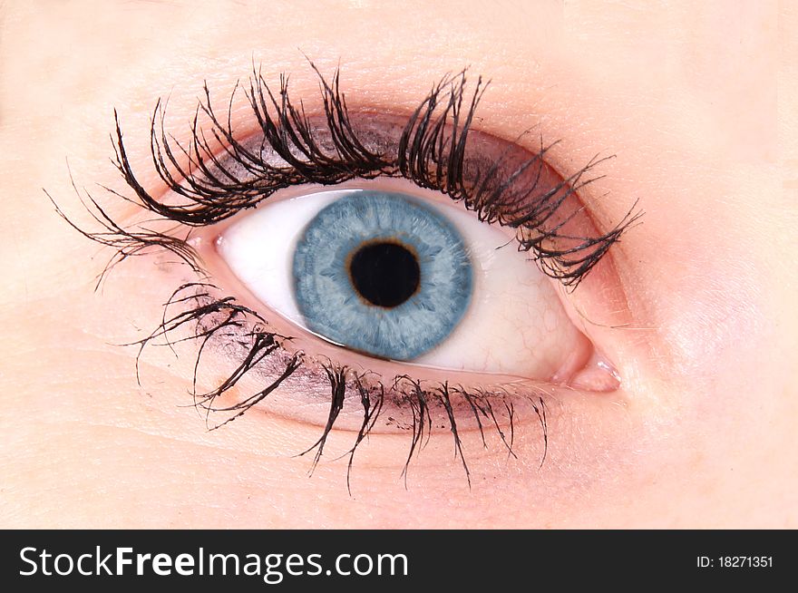 Macro photo of woman blue eye