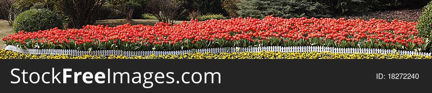 A background border featuring a row of spring tulips as a page border.