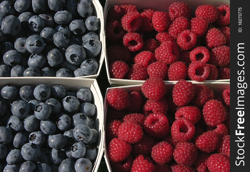 Freshly picked blueberries and raspberries in market display. Freshly picked blueberries and raspberries in market display