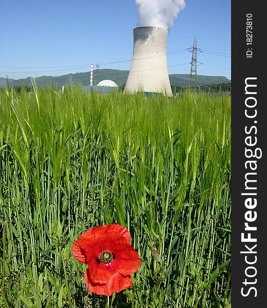 Green barley field with poppy and nuclear power station in the background. Green barley field with poppy and nuclear power station in the background