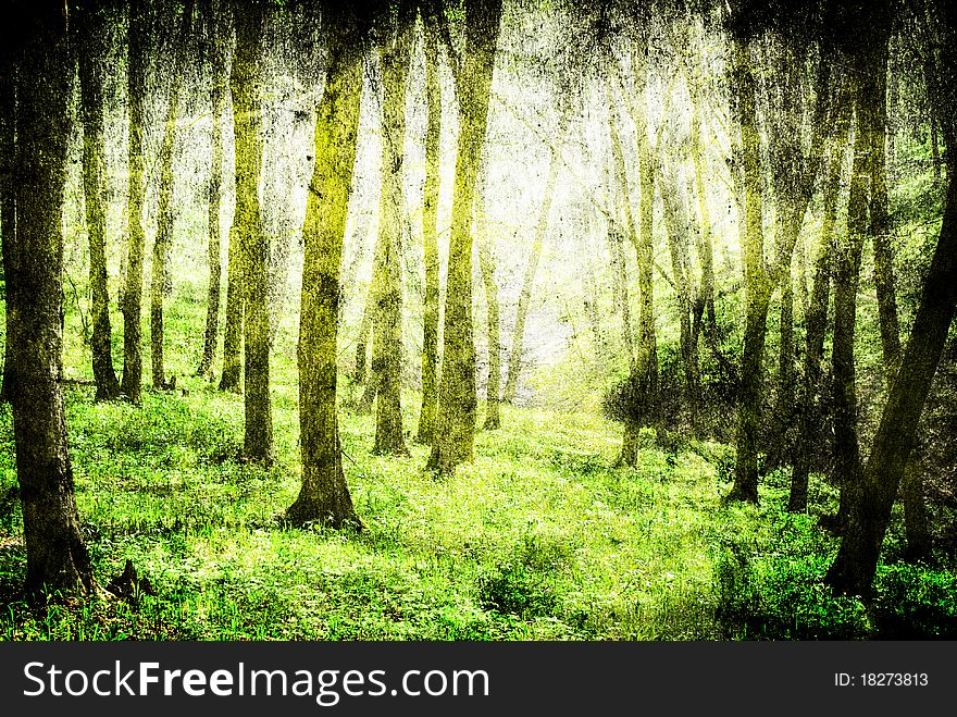 Grunge forest background with space for text or image