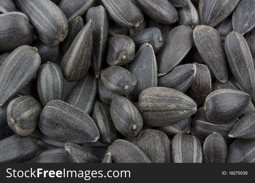 Dry black sunflower seeds closeup