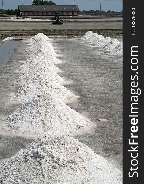 The agricultural production of salt in Thailand. The agricultural production of salt in Thailand