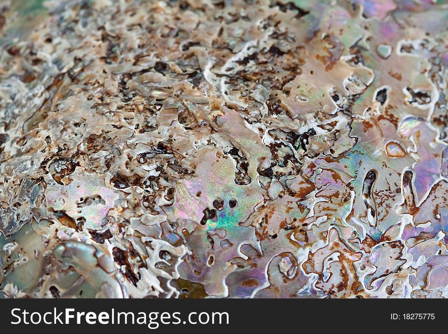 Abstract multicolored natural nacre background.