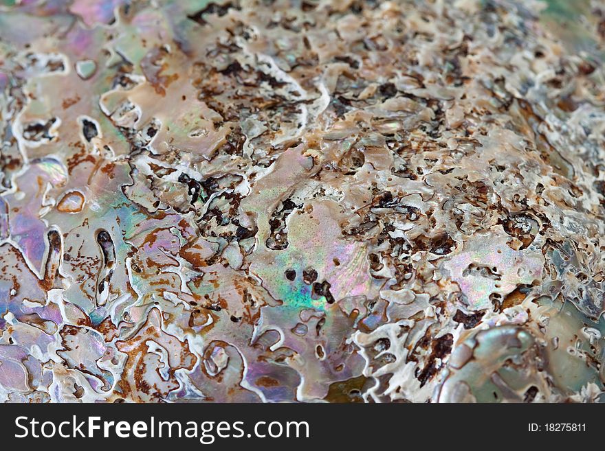 Abstract multicolored natural nacre background.