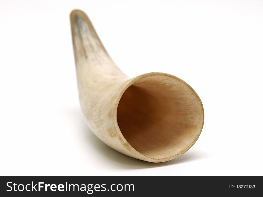 Horn of a cow on a white background isolated