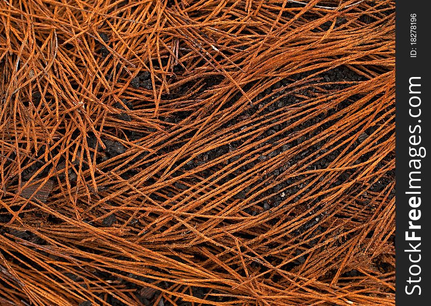 Background of the old rusty nails, close-up