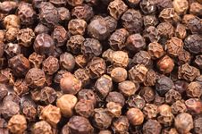 Black Peppercorns Background Stock Images
