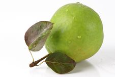 Colorful Green Pear Stock Photography Colorful Green Pear Stock Photography
