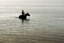 Silhouette Of Horse And Rider In Ocean. Royalty Free Stock Photo Silhouette Of Horse And Rider In Ocean. Royalty Free Stock Photo