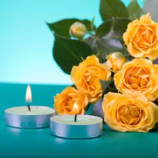 Beautiful Yellow Roses Royalty Free Stock Photo Beautiful Yellow Roses Royalty Free Stock Photo