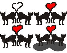 Black Cats Royalty Free Stock Photo Black Cats Royalty Free Stock Photo