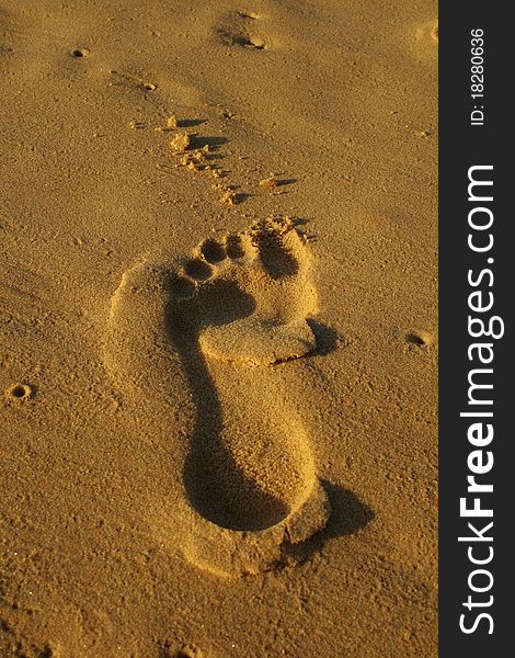 A lone Footprint in the Sand at Red Head Beach Australia