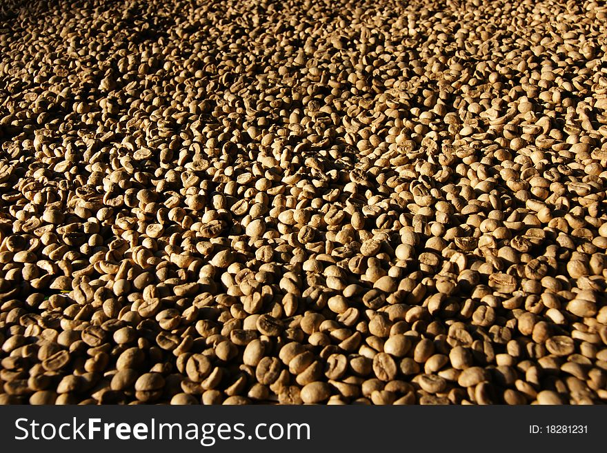 Row coffee texture brown background