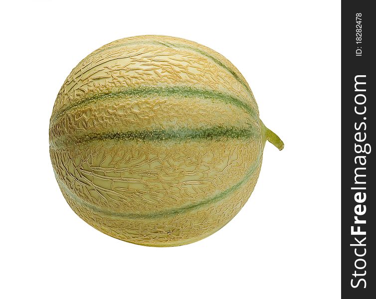 Melon Cantaloupe, isolated on the white