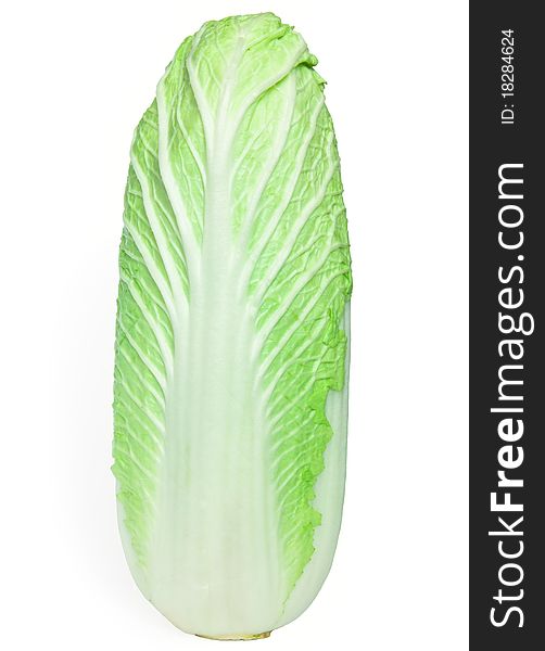 Vegetables: Chinese Cabbage