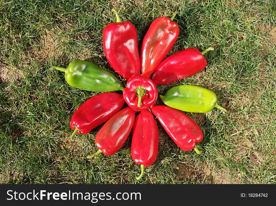 Red and green pepper arranged in a circle