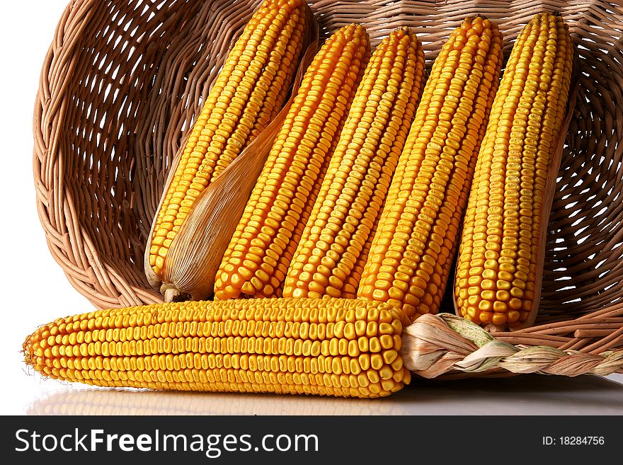 Colorful corn in the basket