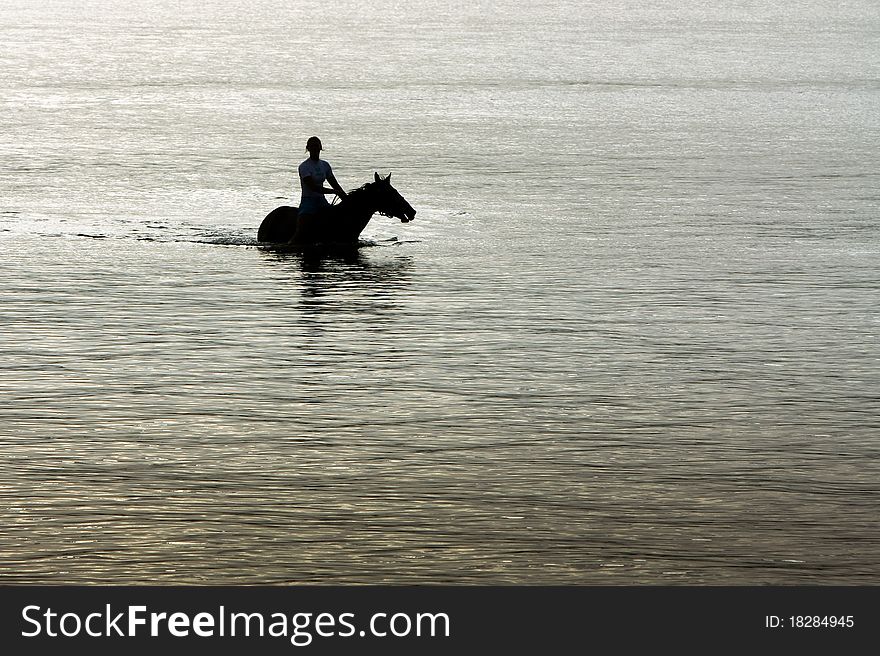 Silhouette Of Horse And Rider In Ocean.