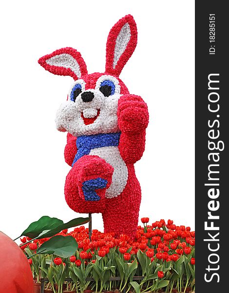 Vigorous Rabbit Flowered With Tulips