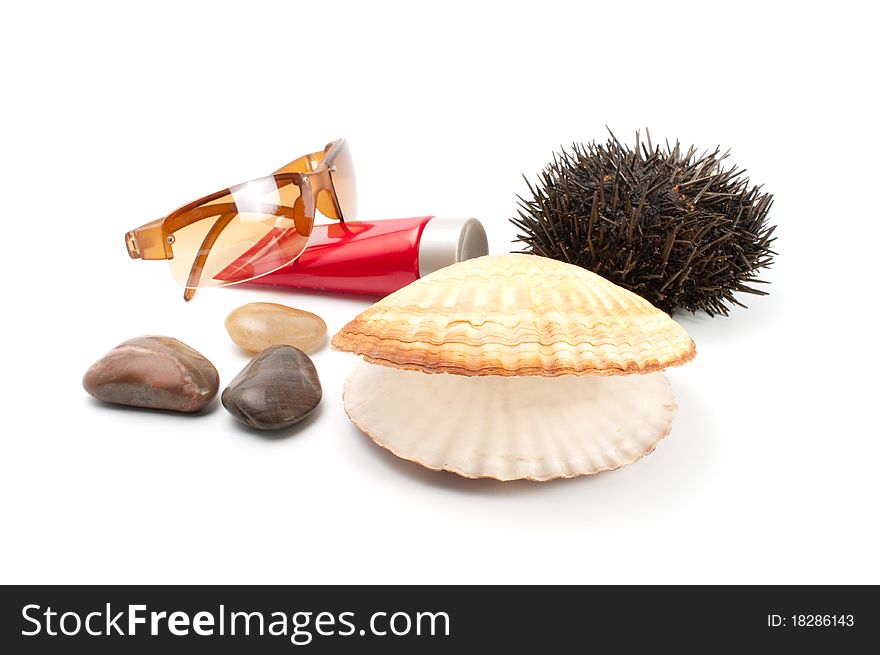 Sun glass  seashell,stones, sea-urchin
