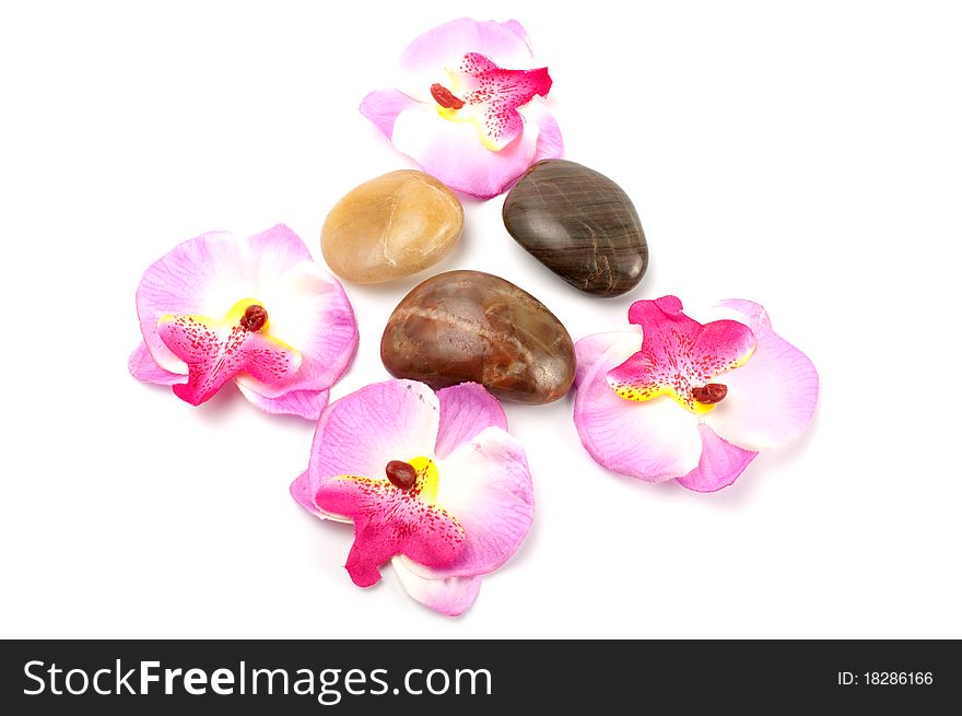 Orchid and stones isolated on white background