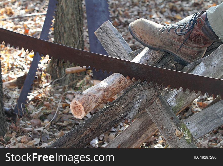 Man using crosscut saw on tree log. Man using crosscut saw on tree log