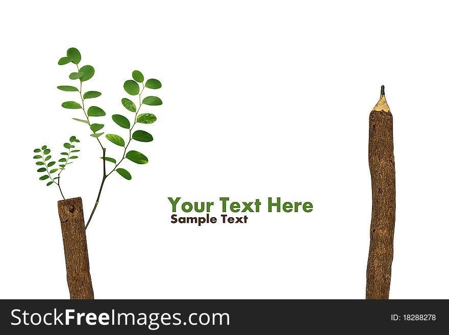 Concept Trees growing on a pencil after Global Warming isolate on white (with sample text)