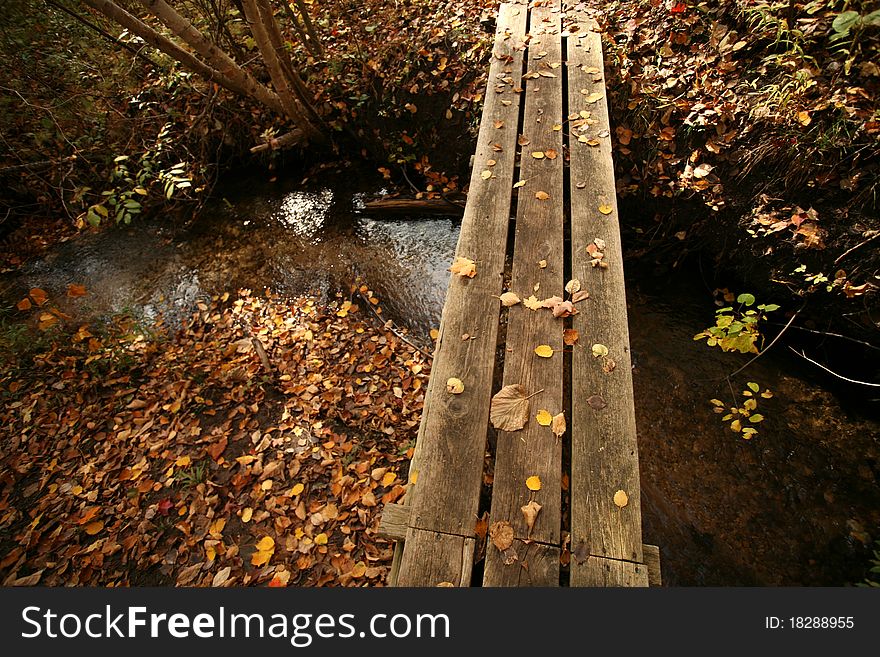 Wooden Bridge Through Nature in Autumn. Wooden Bridge Through Nature in Autumn