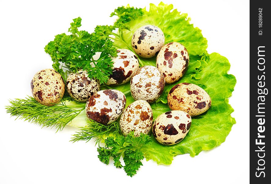 Isolated quail eggs with fresh salad, fennel and parsley