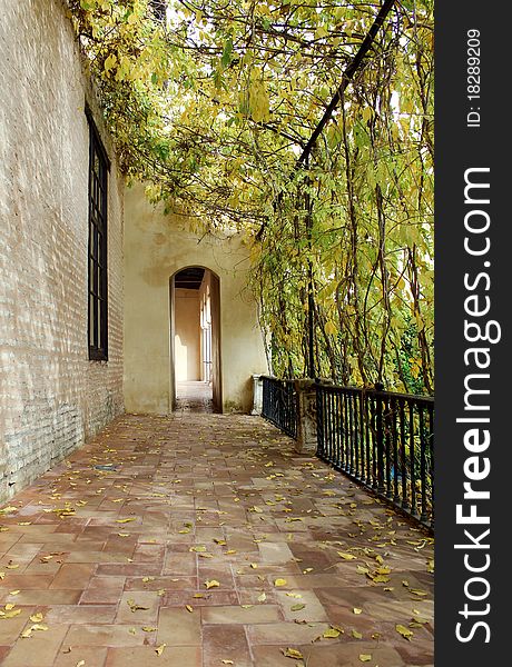 Courtyard at the Real Alcazar Moorish Palace in Seville, Spain