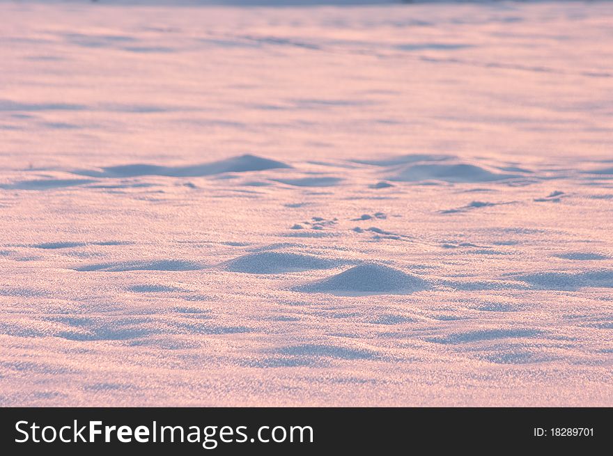 Pink snow texture during sunset for background