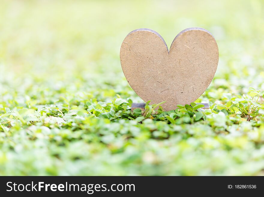 Wooden heart icon on fresh green grass background in morning sun light