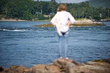 Looking At A Cove In Maine Stock Images Looking At A Cove In Maine Stock Images