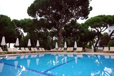 Swimming Pool And A Beautiful Pines Royalty Free Stock Photography